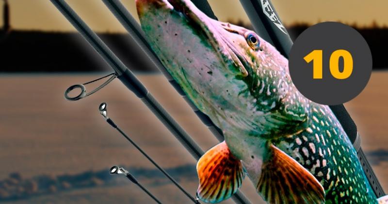 Топ 10 лучших спиннингов на щуку