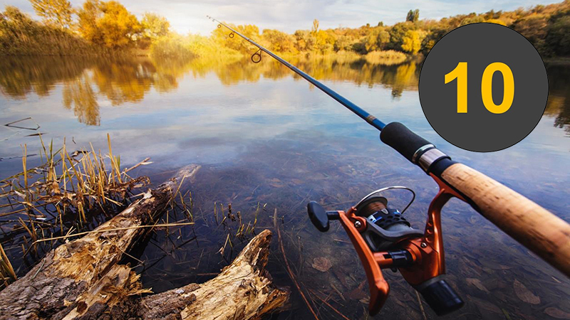 Топ 10 недорогих спиннингов