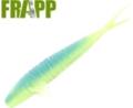  Frapp Placoid