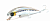 Воблер Daiwa Morethan X-Cross 120 SSR trans iwashi
