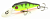 Воблер Pontoon21 Cheerful 40SP-MR 042