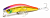 Воблер Daiwa Morethan Cross Wake 111SSR-F Day notes