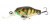 Воблер Pontoon21 Cheerful 40F-MR 108