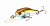 Воблер Pontoon21 Cheerful 34F-MR 054