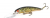 Воблер Bomber Deep Long A B25A GPTBRO Воблер Bomber Deep Long A B25A GPTBRO