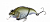 Воблер Megabass Vibration-X Vatalion SS gg gin buna