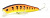 Воблер Daiwa Morethan Cross Wake 90SSR-F Fishycat Fire Tiger