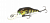Воблер Pontoon21 Cheerful 34F-MR 007