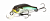 Воблер Pontoon21 Cheerful 34F-SR 005