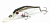 Воблер Pontoon21 Cheerful 40SP-MR 011
