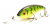 Воблер Bomber Fat Free Shad BD7F SPT Воблер Bomber Fat Free Shad BD7F SPT
