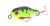 Воблер Pontoon21 Cheerful 34F-SR 042