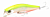 Воблер Daiwa Morethan Cross Wake 111SSR-F Chart Back Pearl